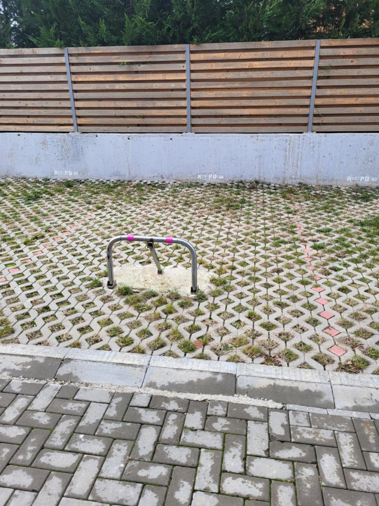 Sika Sunny Garden Apartment Arad Esterno foto